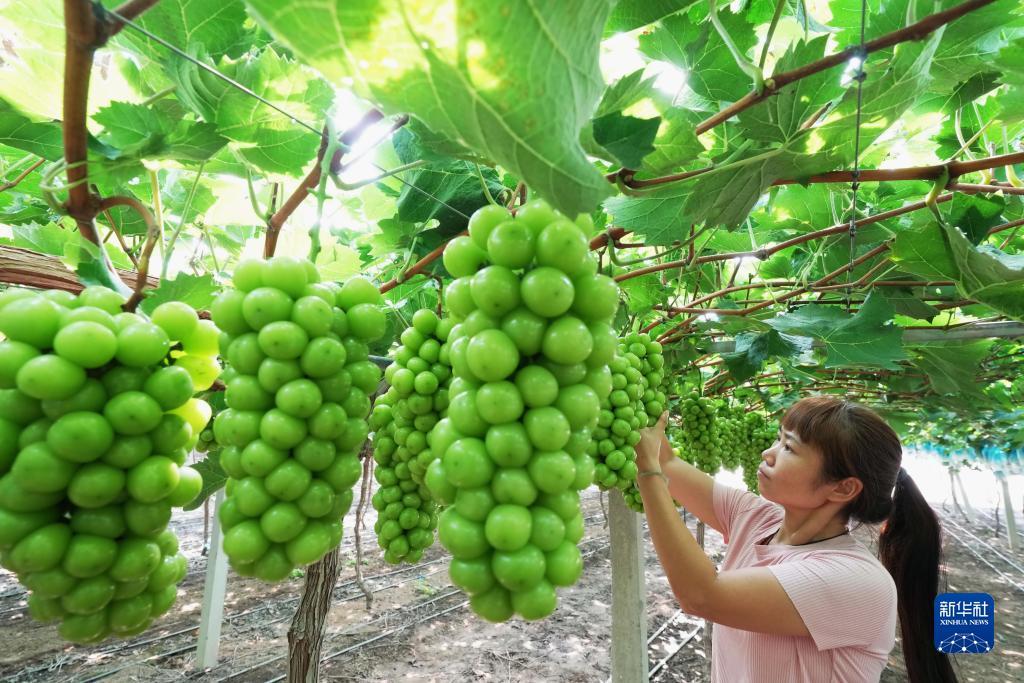 巴黎人充值官方